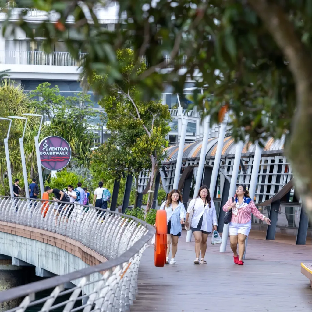 Aedas’ Sentosa Boardwalk, Singapore: elevated seaside pedestrian promenade with timber decking, canopies and planting. Street-level view of Aedas’ Sentosa Boardwalk showing an elevated pedestrian bridge over water with timber deck flooring, curved guardrails, integrated travelators under lightweight canopies, and continuous landscape planting. The boardwalk accommodates heavy footfall, linking VivoCity to Resorts World Sentosa within a tropical coastal environment.