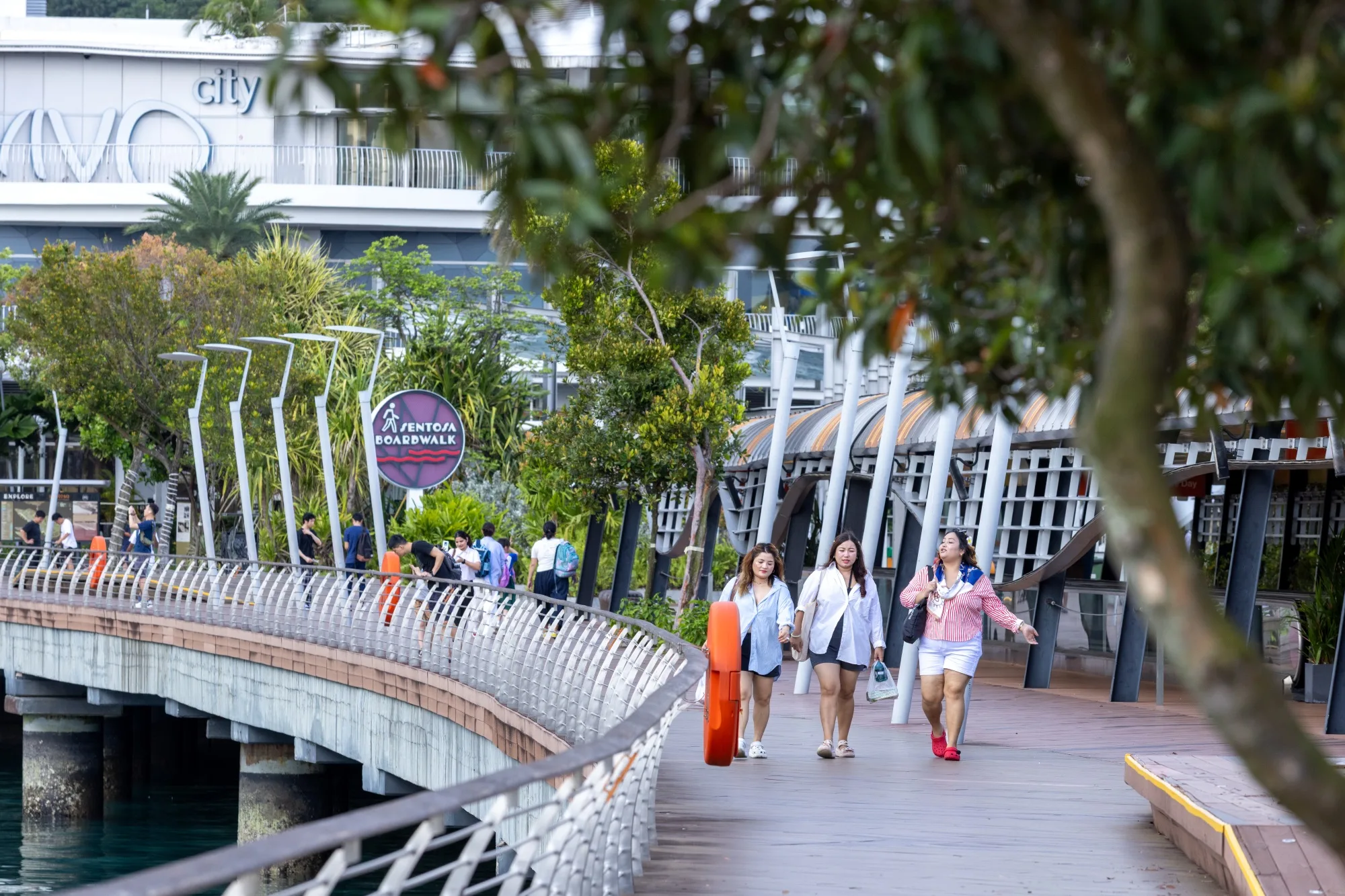 Aedas’ Sentosa Boardwalk, Singapore: elevated seaside pedestrian promenade with timber decking, canopies and planting. Street-level view of Aedas’ Sentosa Boardwalk showing an elevated pedestrian bridge over water with timber deck flooring, curved guardrails, integrated travelators under lightweight canopies, and continuous landscape planting. The boardwalk accommodates heavy footfall, linking VivoCity to Resorts World Sentosa within a tropical coastal environment.